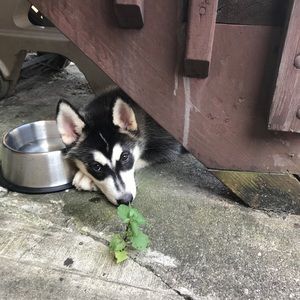 Meet your Posher, Jackie